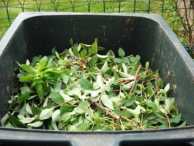 Termíny svozu bioodpadu v Turnově během letních prázdnin