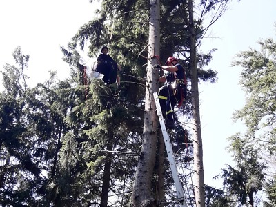 Paraglidisté uvízli na stromech pod Kozákovem
