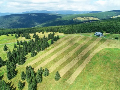 Pásová seč zpestřila krkonošské louky