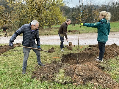 Původní ovocné stromy se vrací do Krkonoš. Přibude jich více než stovka