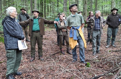 Krkonošské lesy dlouhodobě přitahují zájem lesníků