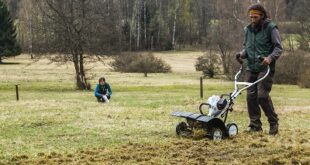 Péče o krkonošské louky opět začíná. Do hor vyrážejí pracovní skupiny