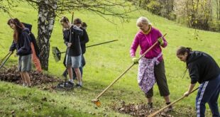 Děti pečují o botanické lokality v Krkonoších