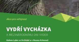 V Krkonoších se slaví i Mezinárodní den vyder