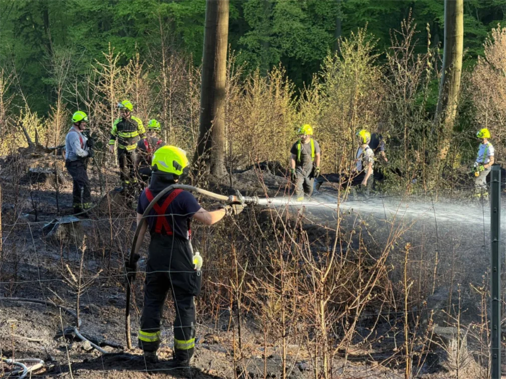Sobotní požár v katastru části obce Andělská Hora (Chrastava)