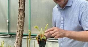 Botanická zahrada Liberec zve na Den botanických zahrad i oslavu včel