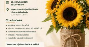 Slunečnice rozzáří náplavku a vyjádří podporu lidem s roztroušenou sklerózou