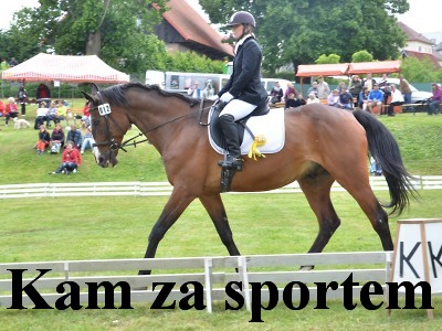Kam za sportem