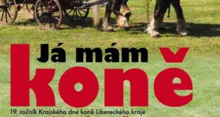Krajský den koně pořádají v Lomnici už podevatenácté