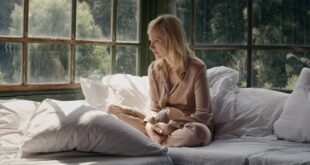 Semifilm 2026 přinese  divákům filmovou klasiku i novinky