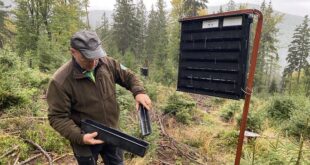 Kůrovec v Krkonoších zůstává pod kontrolou