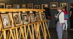 Sára Saudková vystavuje své fotografie ve vrchlabském Krtkovi